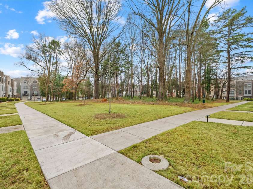 563 Nantahala Drive, Charlotte, NC 28211.  MLS# CAR4337301, YatesRealty ID 17492. Front sidewalk