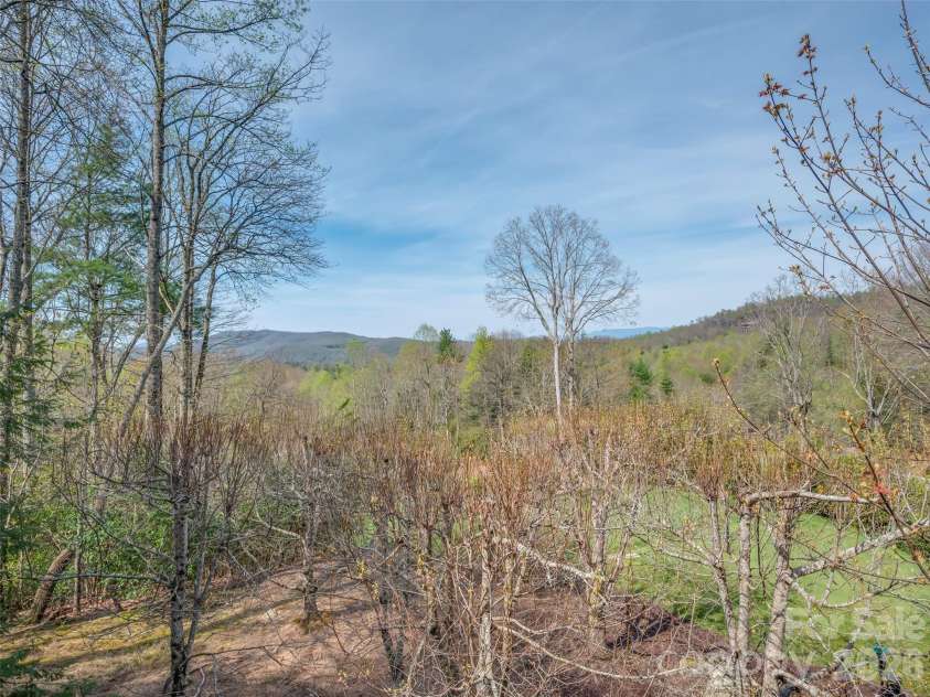 4 Wild Ivy Run, Hendersonville, NC 28739.  MLS# CAR4363096, YatesRealty ID 17512. 