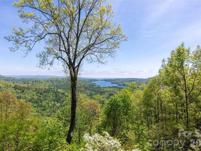 562 Panther Ridge Road, Lake Toxaway, NC 28747.  MLS# CAR4377180, YatesRealty ID 17514. 