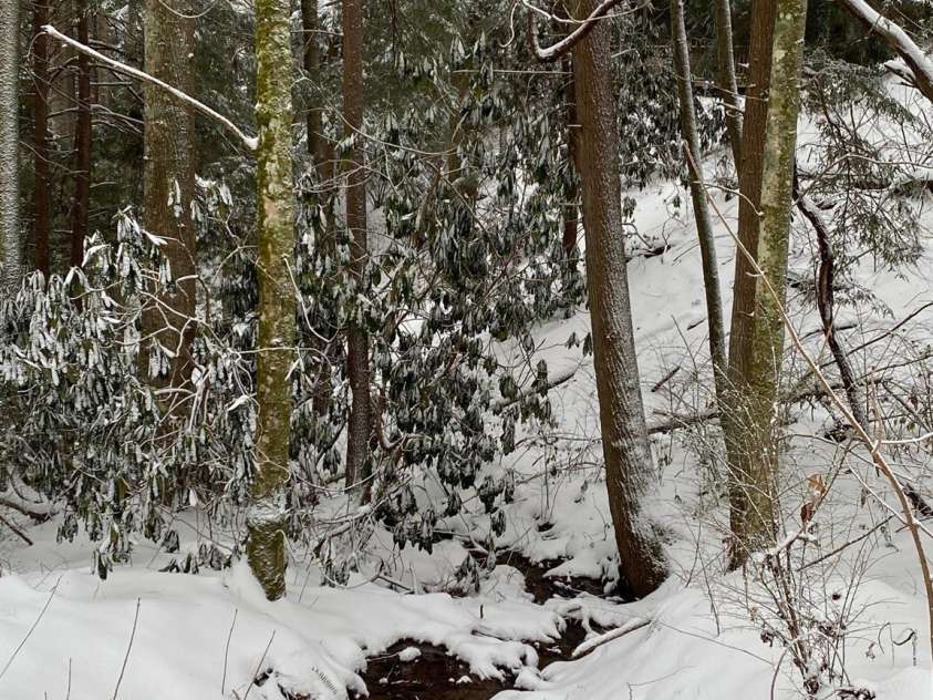14 Weeping Cherry Forest Road, Fairview, NC 28730.  MLS# CAR4356619, YatesRealty ID 17536. Fairview Forest and Weeping Cherry Forest Road is Magical blanketed in snow!