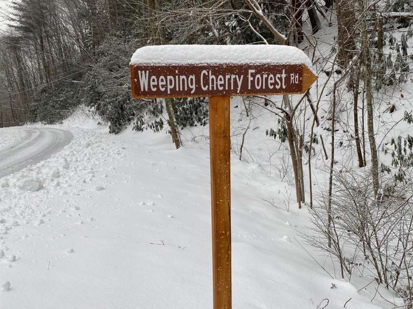 14 Weeping Cherry Forest Road, Fairview, NC 28730.  MLS# CAR4356619, YatesRealty ID 17536. Fairview Forest and Weeping Cherry Forest Road is Magical blanketed in snow!