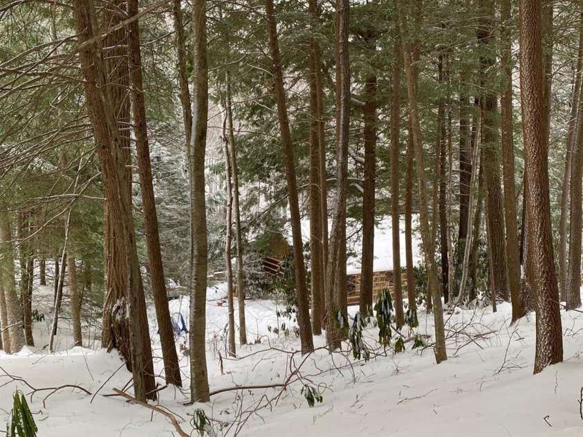 14 Weeping Cherry Forest Road, Fairview, NC 28730.  MLS# CAR4356619, YatesRealty ID 17536. Fairview Forest and Weeping Cherry Forest Road is Magical blanketed in snow!