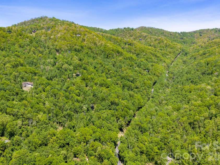 14 Weeping Cherry Forest Road, Fairview, NC 28730.  MLS# CAR4356619, YatesRealty ID 17536. View up the mountain with Fairview Forest Dr in the center.