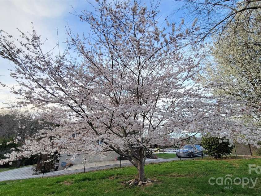 10 Haven Crest Lane, Fletcher, NC 28732.  MLS# CAR4266553, YatesRealty ID 17537. 