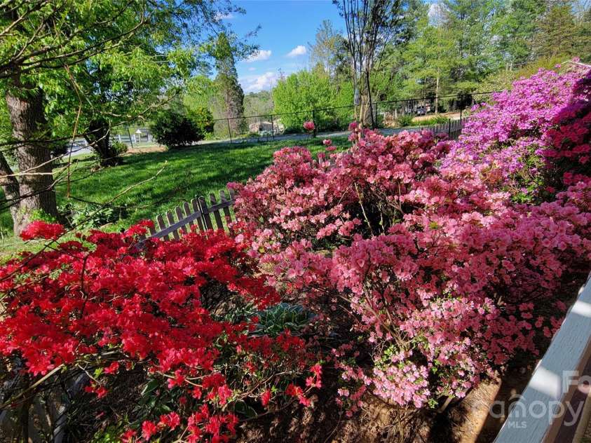 10 Haven Crest Lane, Fletcher, NC 28732.  MLS# CAR4321217, YatesRealty ID 17537. Beautiful flowers in spring!