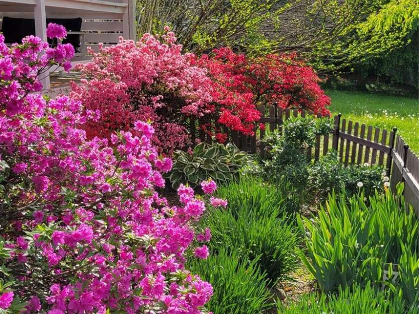 10 Haven Crest Lane, Fletcher, NC 28732.  MLS# CAR4321217, YatesRealty ID 17537. Beautiful flowers in spring!