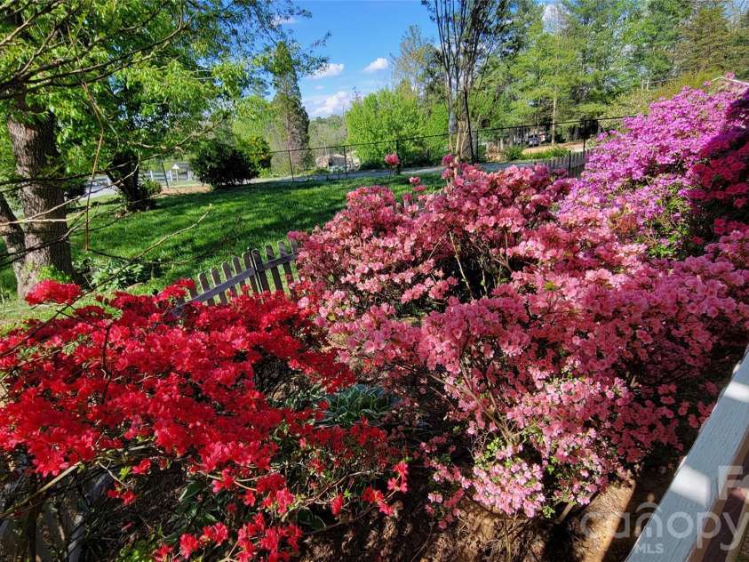 10 Haven Crest Lane, Fletcher, NC 28732.  MLS# CAR4321217, YatesRealty ID 17537. Beautiful flowers in spring!