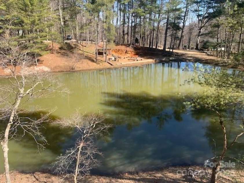 30 LAKEMONT COTTAGE Trail, Flat Rock, NC 28731.  MLS# CAR4232172, YatesRealty ID 1754. 