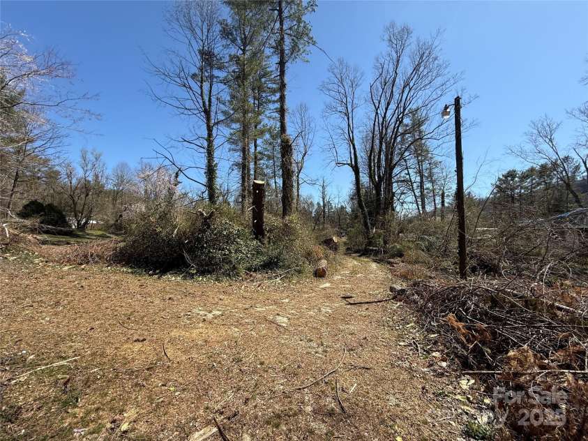 708 Miami Terrace, Hendersonville, NC 28791.  MLS# CAR4238040, YatesRealty ID 17586. Front yard