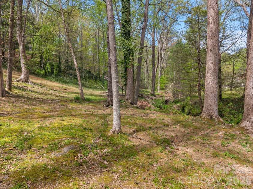 140 Meadowlark Drive, Tryon, NC 28782.  MLS# CAR4364731, YatesRealty ID 17628. Area down by the creek