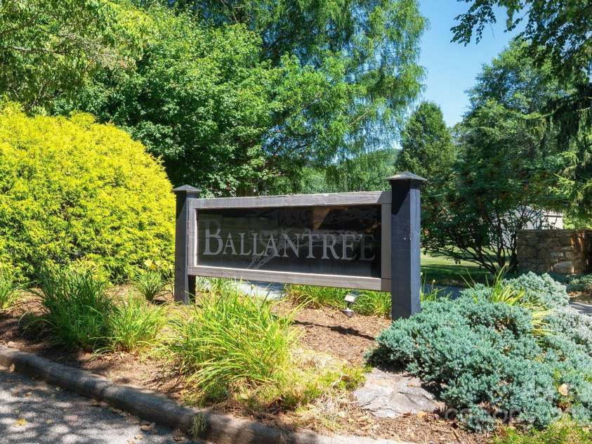 58 Braddock Way, Asheville, NC 28803.  MLS# CAR4246877, YatesRealty ID 17643. Community of Ballantree