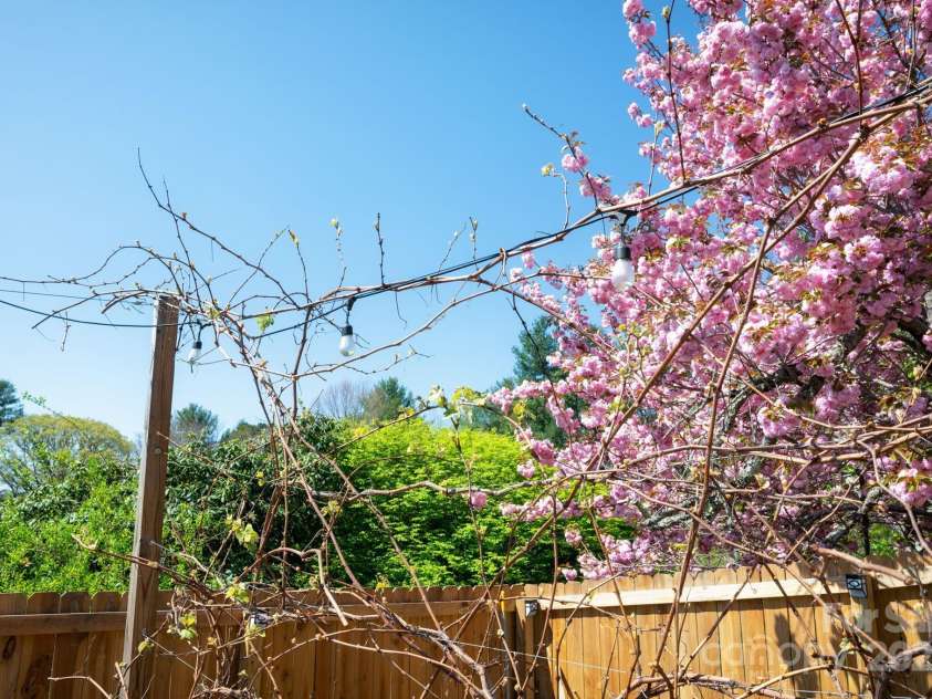 58 Braddock Way, Asheville, NC 28803.  MLS# CAR4246877, YatesRealty ID 17643. Vines and String Lights
