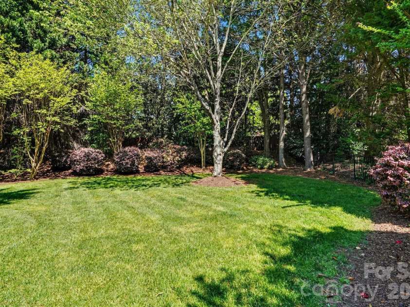 7609 Windaliere Drive, Cornelius, NC 28031.  MLS# CAR4358973, YatesRealty ID 17651. Large Backyard Green Space