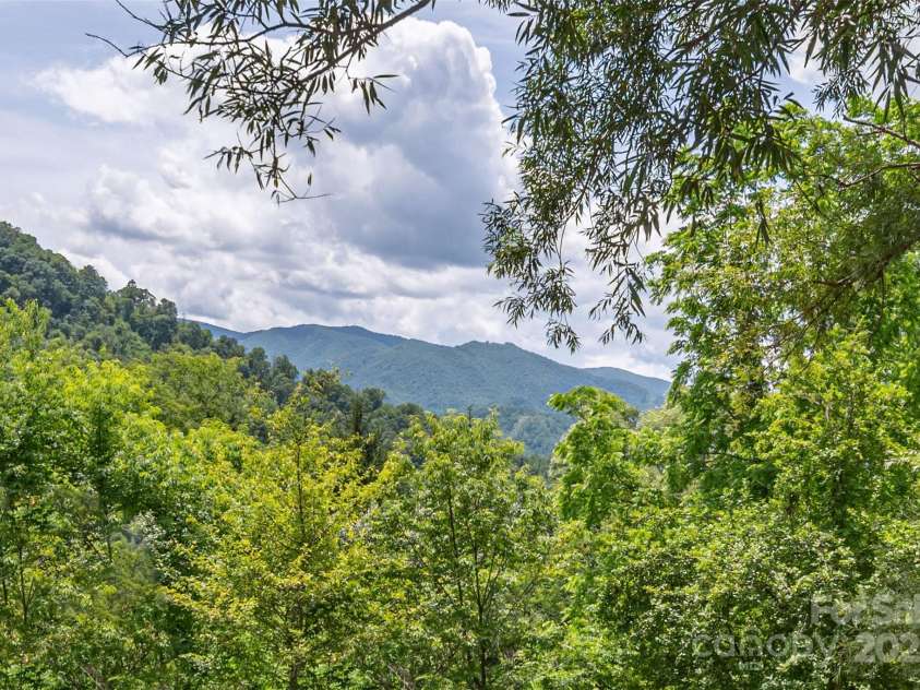 495 Courtney Lane, Canton, NC 28716.  MLS# CAR4274187, YatesRealty ID 1767. 