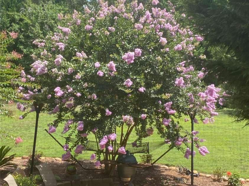 1308 Moonshadow Lane, Shelby, NC 28150.  MLS# CAR4237593, YatesRealty ID 17680. Patio View