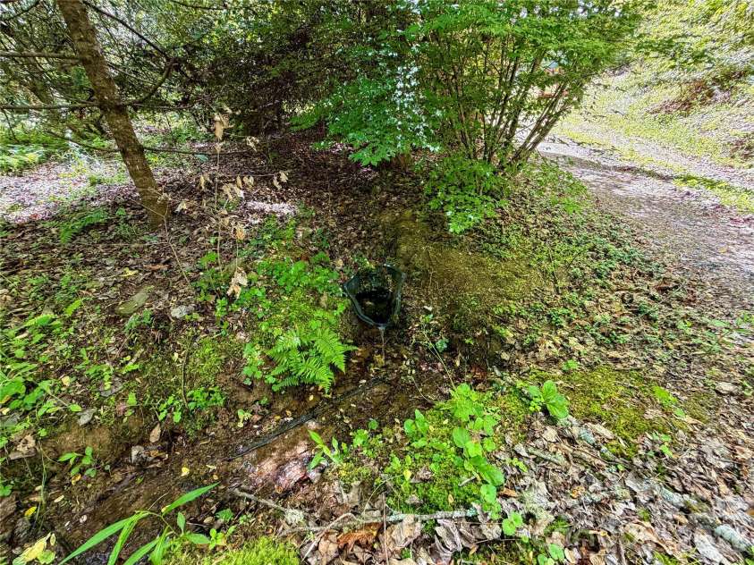 175 Cougar Lane, Whittier, NC 28789.  MLS# CAR4375470, YatesRealty ID 17686. Mountain Spring