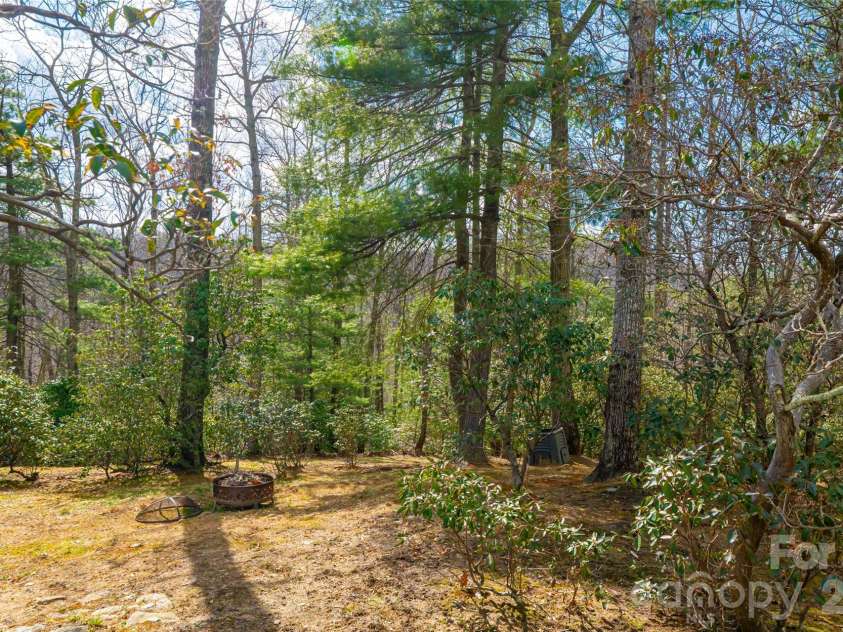 82 Red Mulberry Drive, Zirconia, NC 28790.  MLS# CAR4363684, YatesRealty ID 17694. Back yard