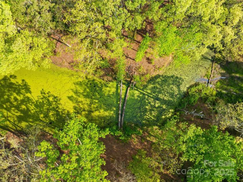 4896 Pageland Highway, Lancaster, SC 29720.  MLS# CAR4246067, YatesRealty ID 17701. Pond