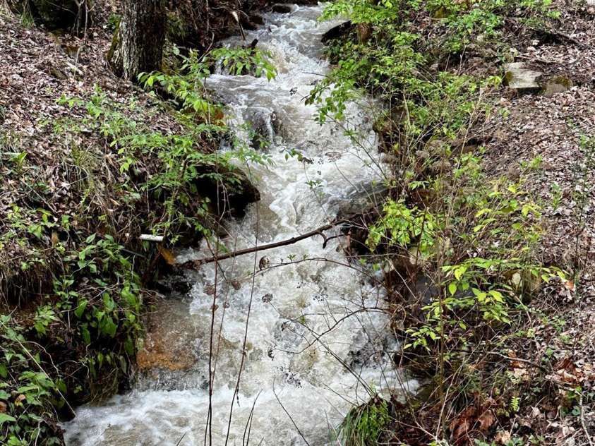 414 Hickory Cove Road, Bryson City, NC 28713.  MLS# CAR4243476, YatesRealty ID 17715. Stream bordering the property