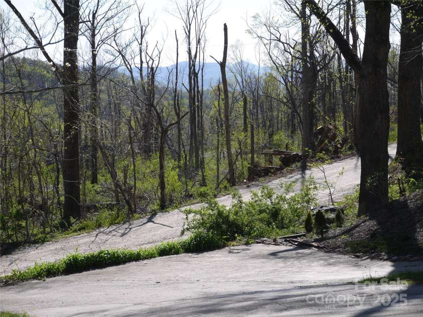 305 Webb Cove Road, Asheville, NC 28804.  MLS# CAR4246524, YatesRealty ID 17728. 