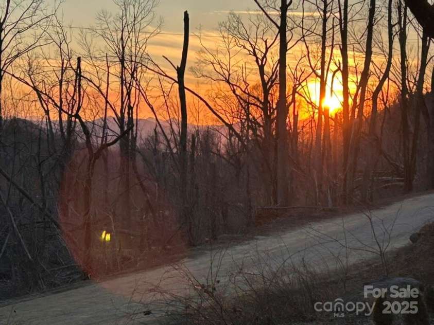 305 Webb Cove Road, Asheville, NC 28804.  MLS# CAR4246524, YatesRealty ID 17728. 