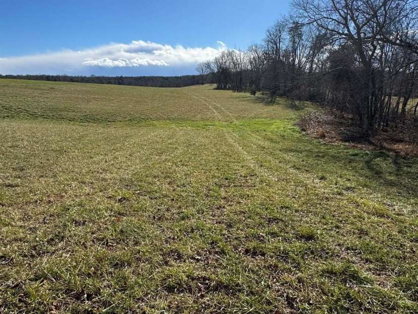 12544 Traphill Road, Traphill, NC 28685.  MLS# CAR4350816, YatesRealty ID 17758. 