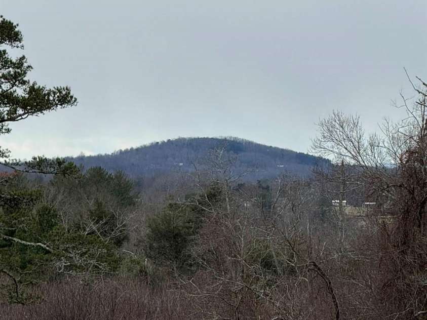 12544 Traphill Road, Traphill, NC 28685.  MLS# CAR4350816, YatesRealty ID 17758. 
