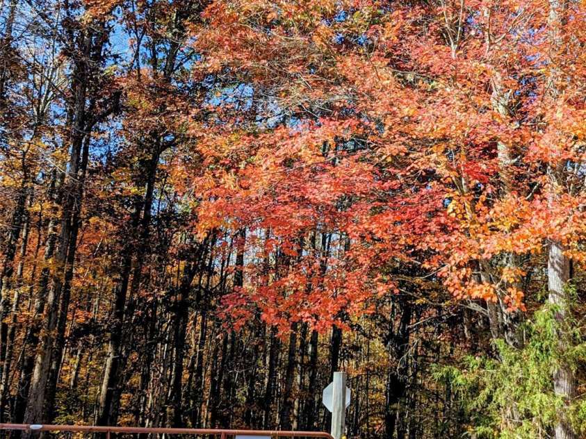 1845 Templeton Road, Clover, SC 29710.  MLS# CAR4308606, YatesRealty ID 1776. 