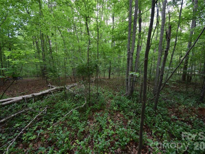 3007 Paraham Road, York, SC 29745.  MLS# CAR4377257, YatesRealty ID 17772. 