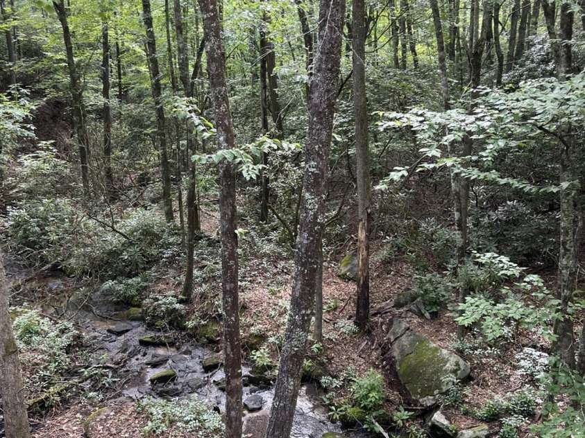 630 Shumont Road, Black Mountain, NC 28711.  MLS# CAR4269091, YatesRealty ID 178. 