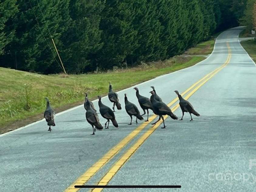 630 Shumont Road, Black Mountain, NC 28711.  MLS# CAR4269091, YatesRealty ID 178. 