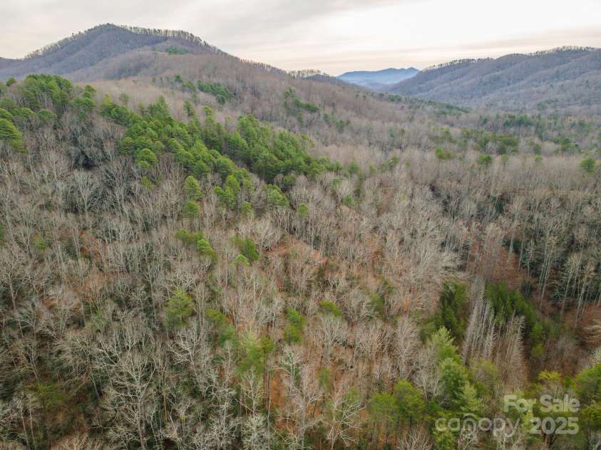 380 Buttercup Lane, Marion, NC 28752.  MLS# CAR4333010, YatesRealty ID 1781. 