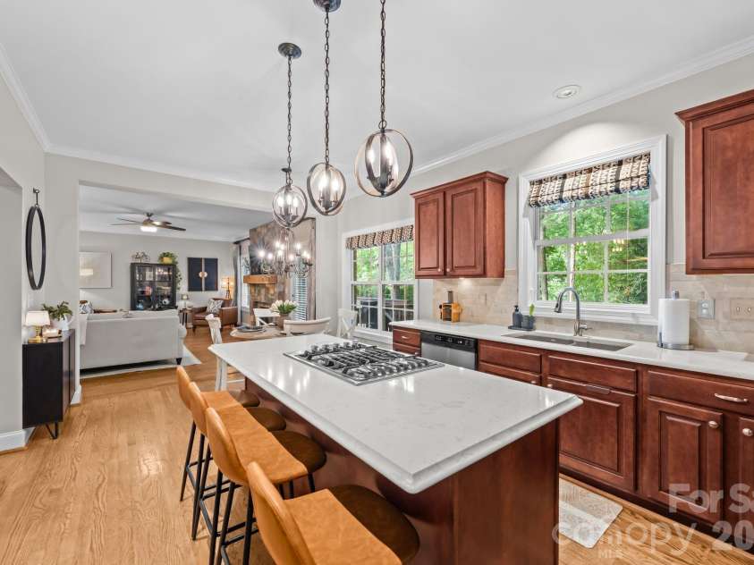 14003 Ballantyne Meadows Drive, Charlotte, NC 28277.  MLS# CAR4372883, YatesRealty ID 17810. 