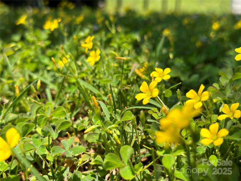 820 Seehorn Street, Lenoir, NC 28645.  MLS# CAR4267646, YatesRealty ID 17810. 