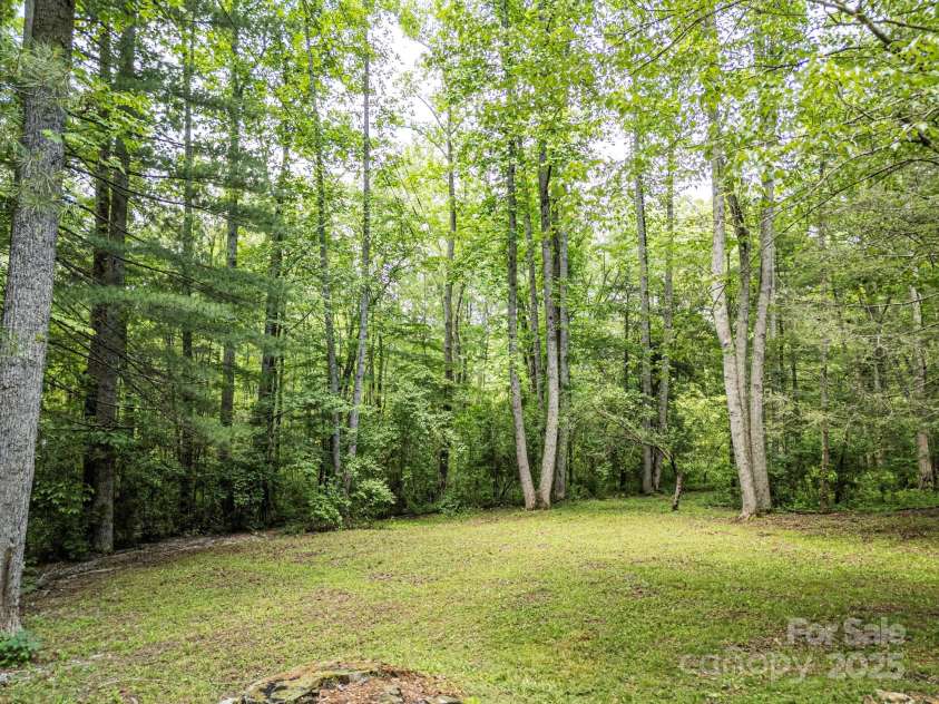 3374 Locust Grove Road, Hendersonville, NC 28792.  MLS# CAR4265087, YatesRealty ID 17837. Back yard