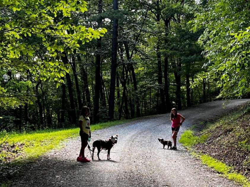 350 Hickory Springs Trail, Bryson City, NC 28713.  MLS# CAR4203007, YatesRealty ID 17958. Summertime Walks