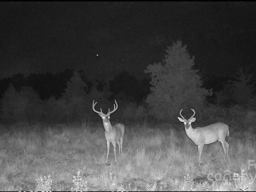 1202 Neds Creek Road, Kershaw, SC 29067.  MLS# CAR4265353, YatesRealty ID 17969. 