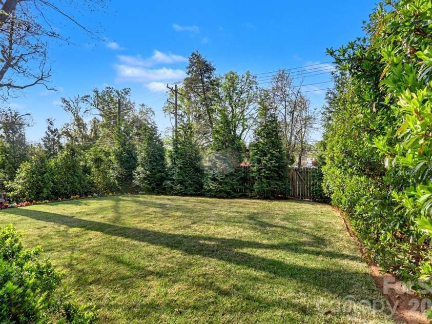 2317 Charlotte Drive, Charlotte, NC 28203.  MLS# CAR4368858, YatesRealty ID 18031. Backyard