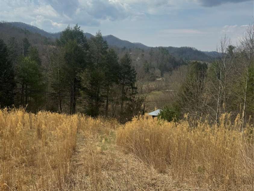 1820 Grapevine Road, Marshall, NC 28753.  MLS# CAR4359708, YatesRealty ID 18045. 