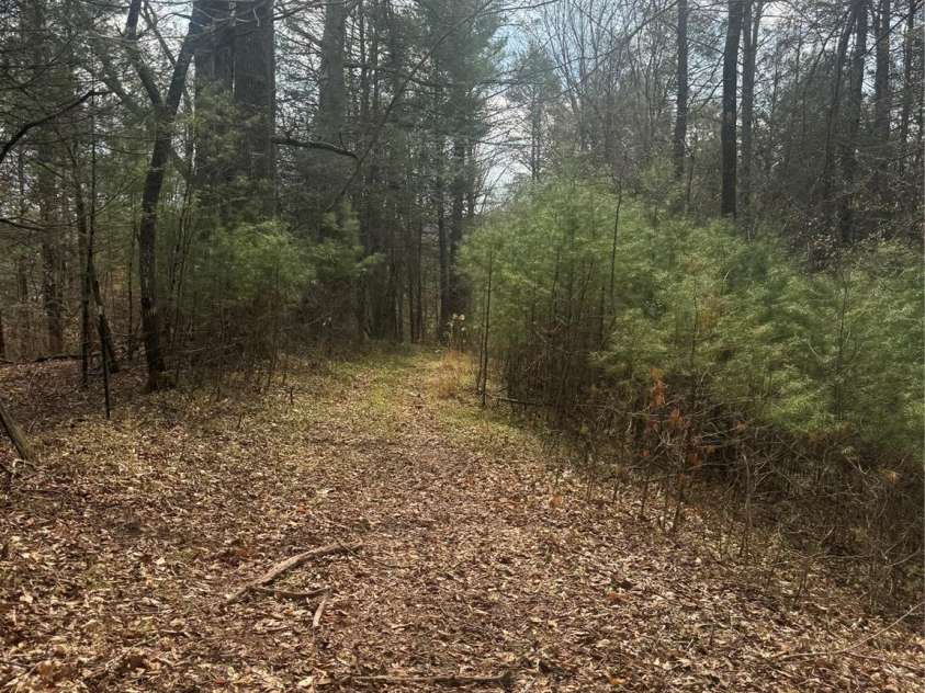 1820 Grapevine Road, Marshall, NC 28753.  MLS# CAR4359708, YatesRealty ID 18045. 