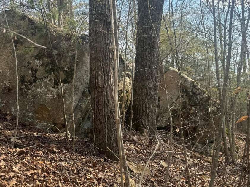 1820 Grapevine Road, Marshall, NC 28753.  MLS# CAR4359708, YatesRealty ID 18045. 