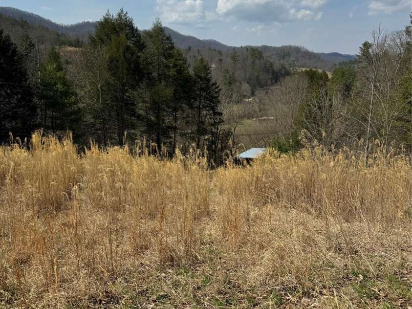 1820 Grapevine Road, Marshall, NC 28753.  MLS# CAR4359708, YatesRealty ID 18045. 