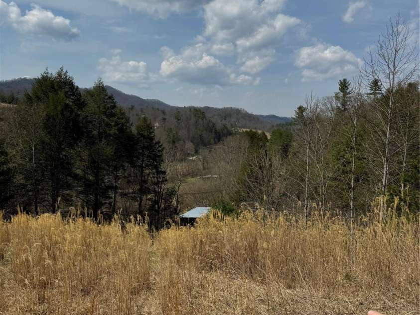 1820 Grapevine Road, Marshall, NC 28753.  MLS# CAR4359708, YatesRealty ID 18045. 