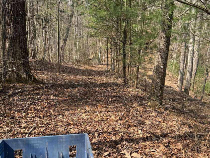 1820 Grapevine Road, Marshall, NC 28753.  MLS# CAR4359708, YatesRealty ID 18045. 