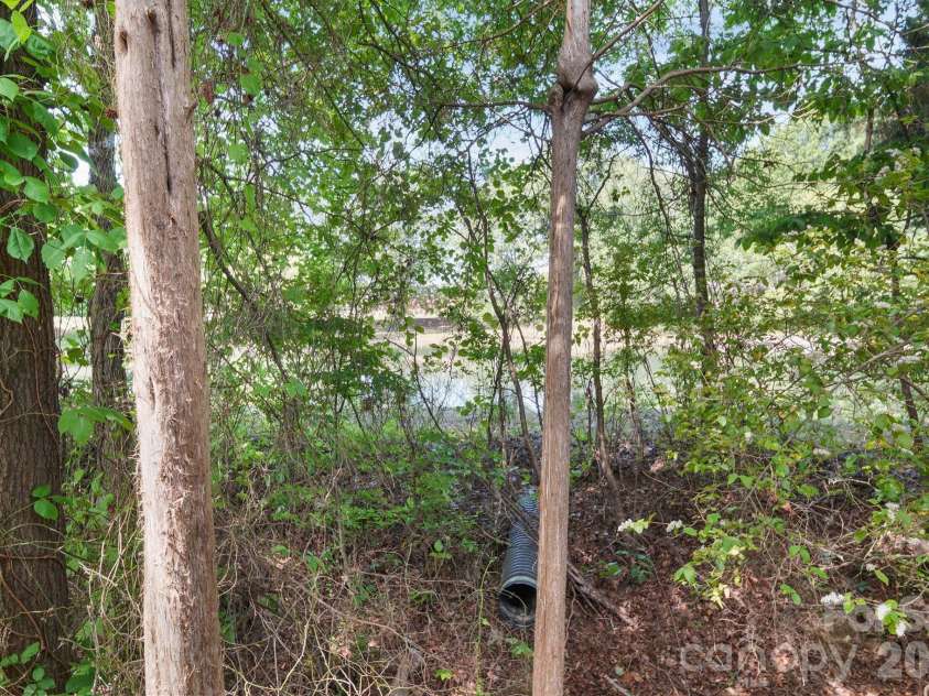 13339 Mint Lake Drive, Matthews, NC 28105.  MLS# CAR4373352, YatesRealty ID 18154. 