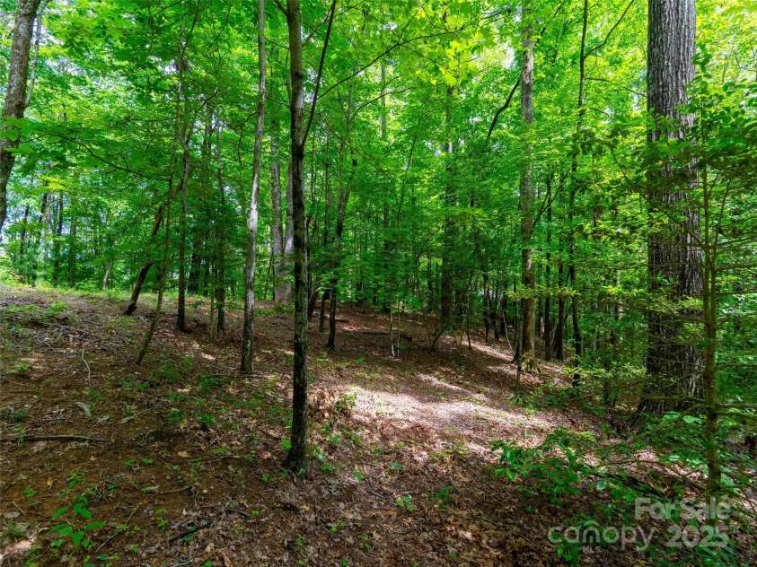 125 Cypress Lane, Saluda, NC 28773.  MLS# CAR4265595, YatesRealty ID 18163. 