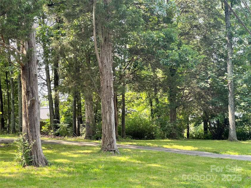 541 Greenway Street, Davidson, NC 28036.  MLS# CAR4264185, YatesRealty ID 18223. Wide & deep lot fronts on Greenway Street and abuts Pinecrest Street in the rear