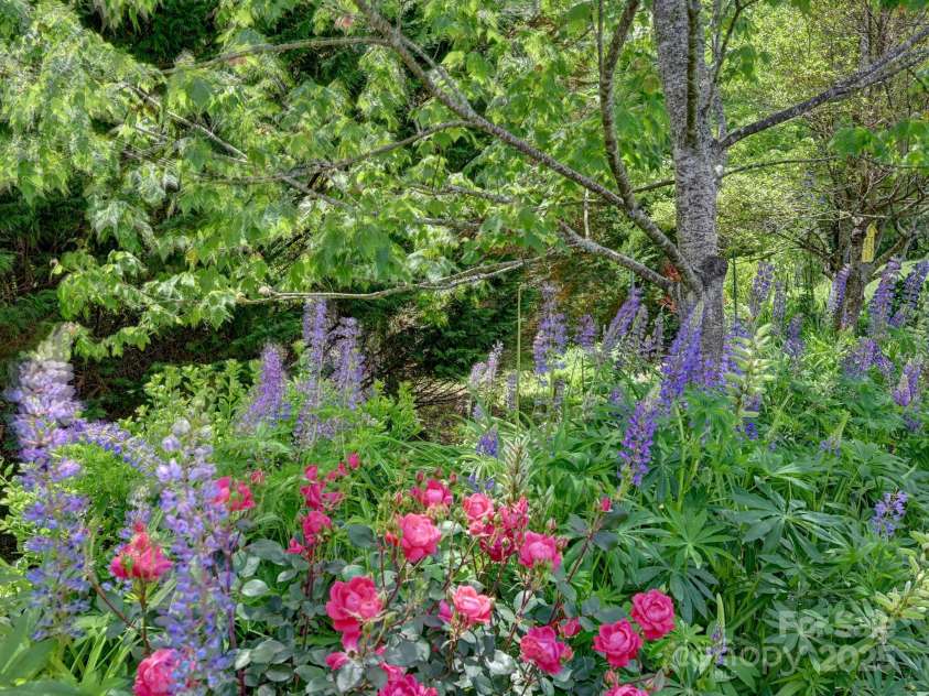 560 Summerfield Place, Flat Rock, NC 28731.  MLS# CAR4262999, YatesRealty ID 18237. 