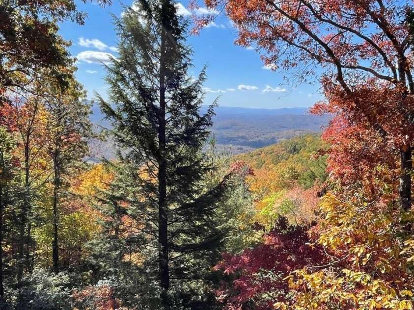 425 Flat Top Mountain Road, Fairview, NC 28730.  MLS# CAR4399617, YatesRealty ID 1824. 