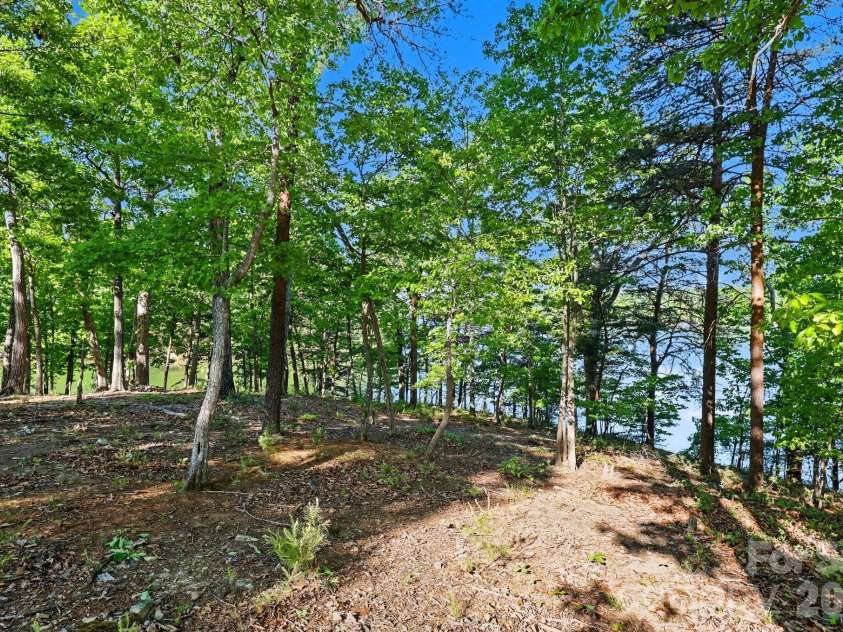 1629 Healing Springs Drive, Denton, NC 27239.  MLS# CAR4362810, YatesRealty ID 18242. 